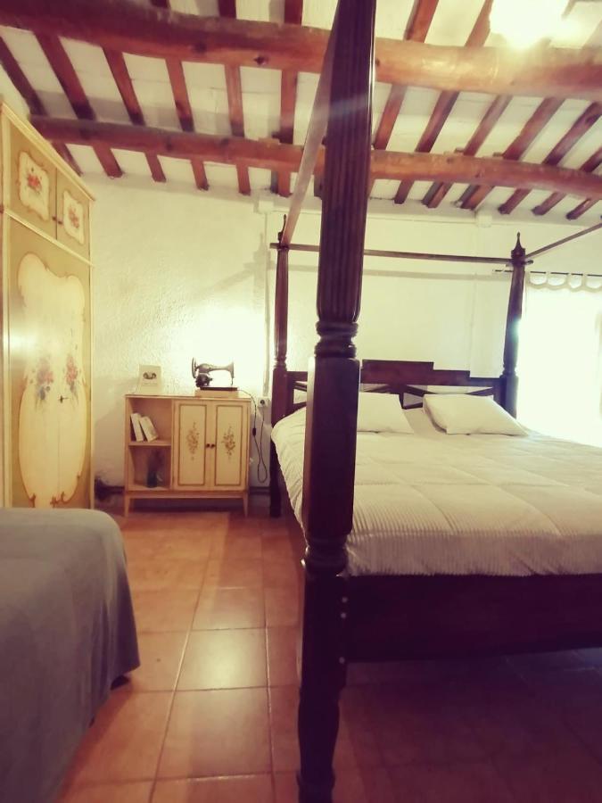 Maset Del Garraf Guest House Olesa de Bonesvalls Luaran gambar