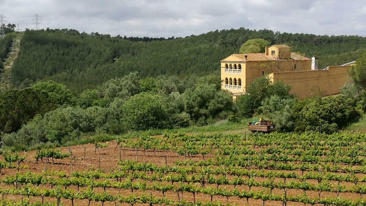 Maset Del Garraf Guest House Olesa de Bonesvalls Luaran gambar