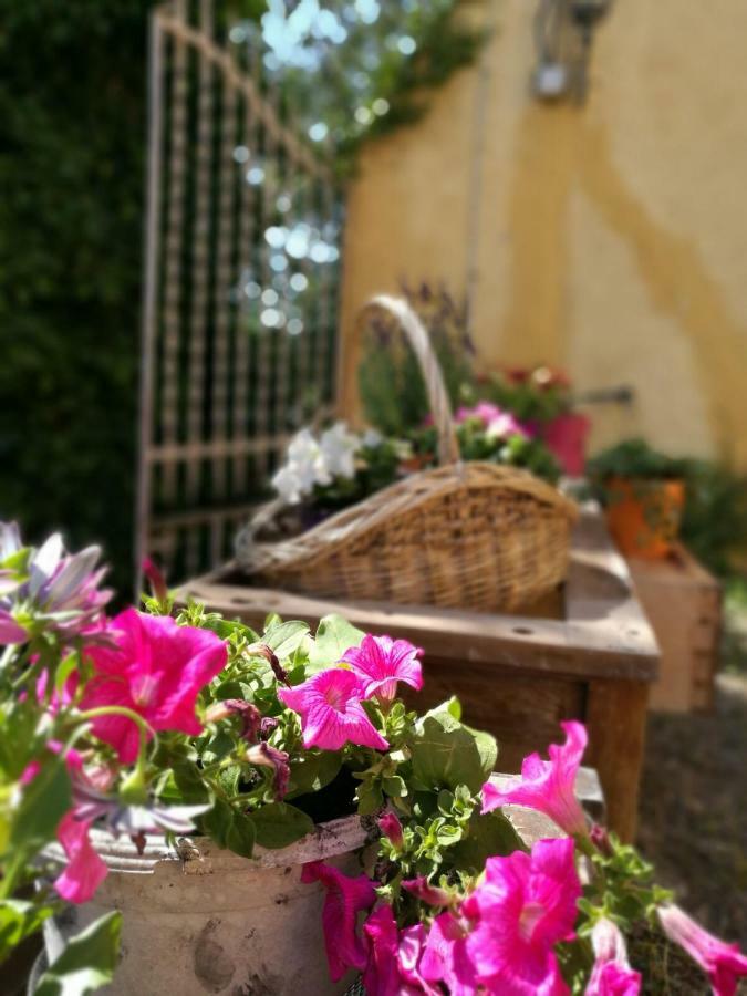 Maset Del Garraf Guest House Olesa de Bonesvalls Luaran gambar