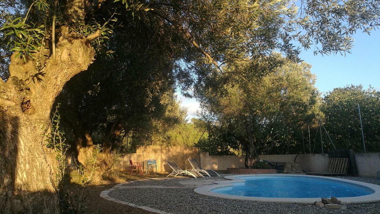 Maset Del Garraf Guest House Olesa de Bonesvalls Luaran gambar